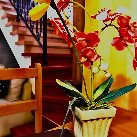 Phidias Homes 4